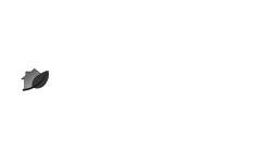 Sage Homes Case Study